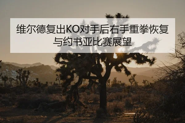 维尔德复出KO对手后右手重拳恢复与约书亚比赛展望
